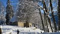 IMG_0007