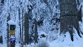 IMG_0011