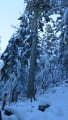 IMG_0012