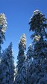 IMG_0014