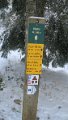 IMG_0017