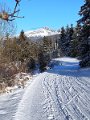 IMG_20240111_152159153