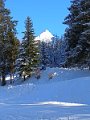 IMG_20240111_152337261