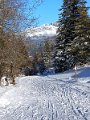 IMG_20240111_152342479