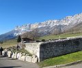 IMG_2331