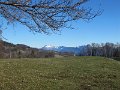 IMG_2336