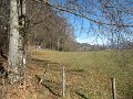 IMG_2340