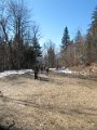 IMG_2344