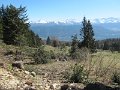 IMG_2345