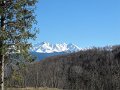 IMG_2358