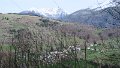 IMG_0110