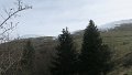 IMG_0112