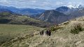 IMG_0137