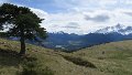 IMG_0141