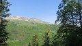 IMG_0318