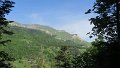 IMG_0319