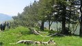 IMG_0334