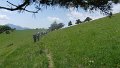 IMG_0341
