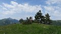 IMG_0343