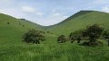 IMG_0344