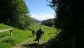 IMG_0347