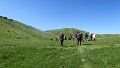 IMG_0351