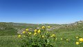IMG_0354