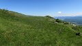 IMG_0362