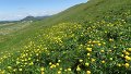 IMG_0371