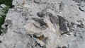 IMG_0372