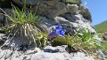 IMG_0374