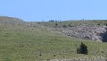 IMG_0382
