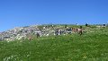 IMG_0386