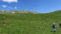 IMG_0388