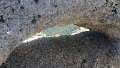 IMG_0394