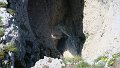 IMG_0395