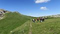 IMG_0399