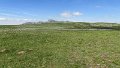 IMG_0401