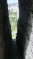 IMG_0408