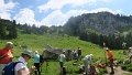 IMG_0448