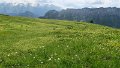 IMG_0452