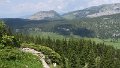 IMG_0455