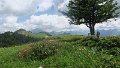 IMG_0457