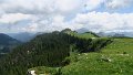 IMG_0458