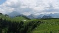 IMG_0459