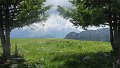 IMG_0461