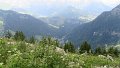IMG_0468