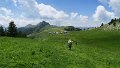 IMG_0471