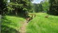 IMG_0478