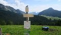 IMG_0479